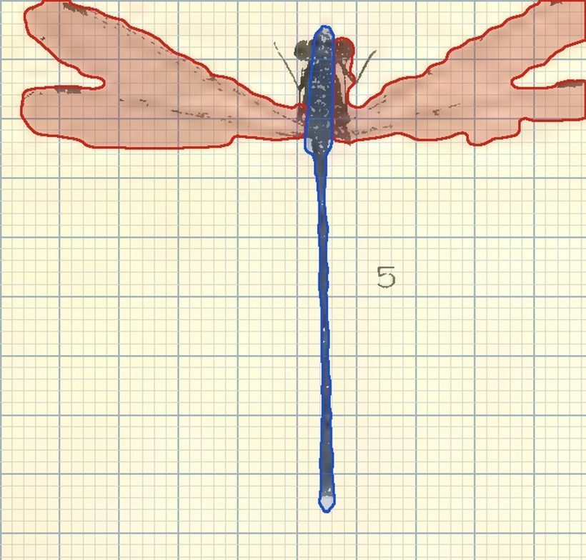 A ringtail damselfly traced on a millimetre grid, body in blue, wings in red