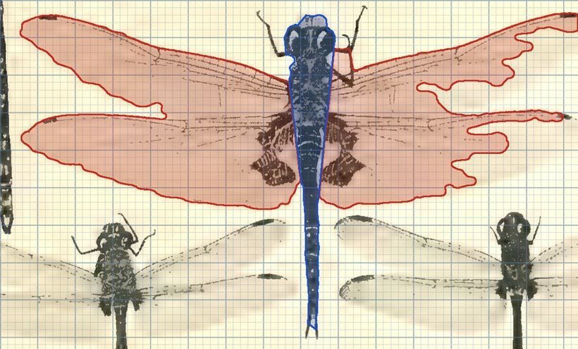 Fixed span: Flies and dragonflies