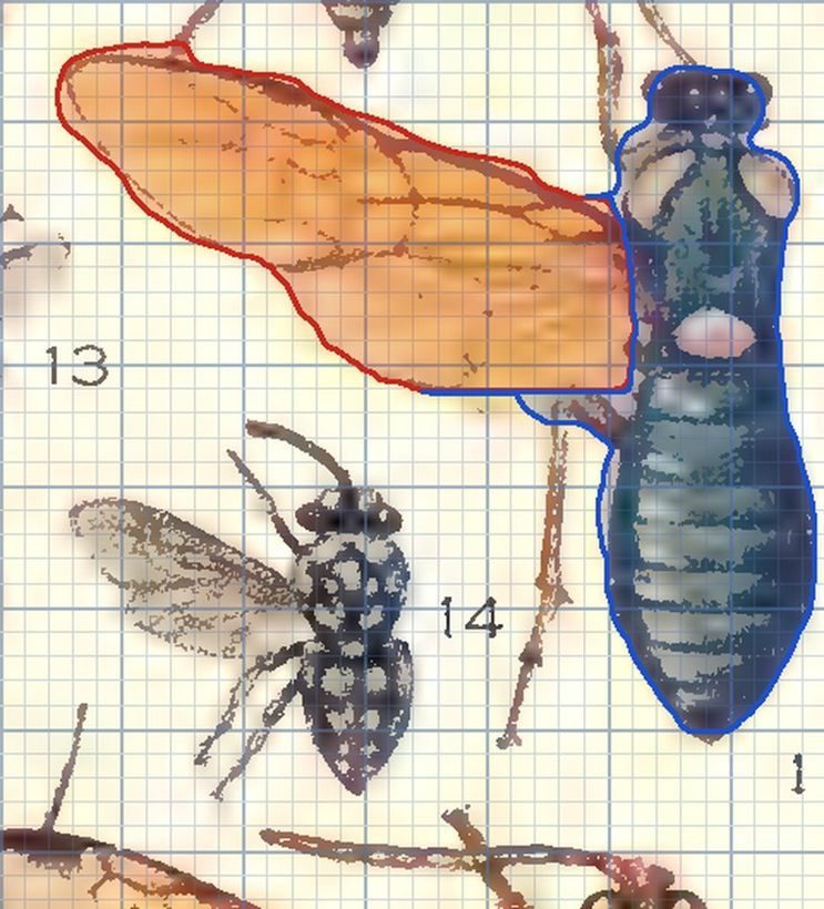 Flat stack: Termites, sawflies, bees and wasps