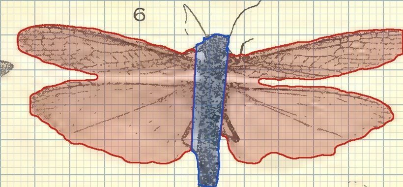 Fan pleat under a cover: Grasshoppers, stick insects, mantids, stoneflies
