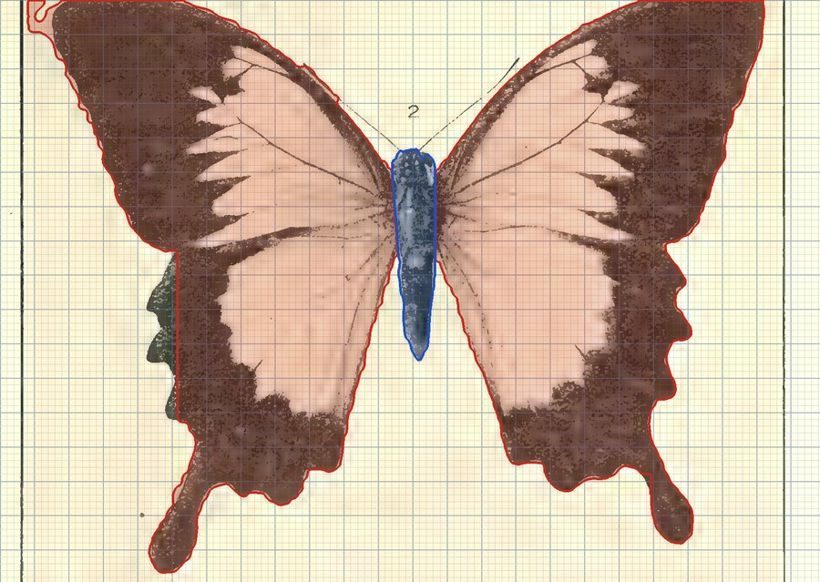 Vertical clap: Butterflies and damselflies